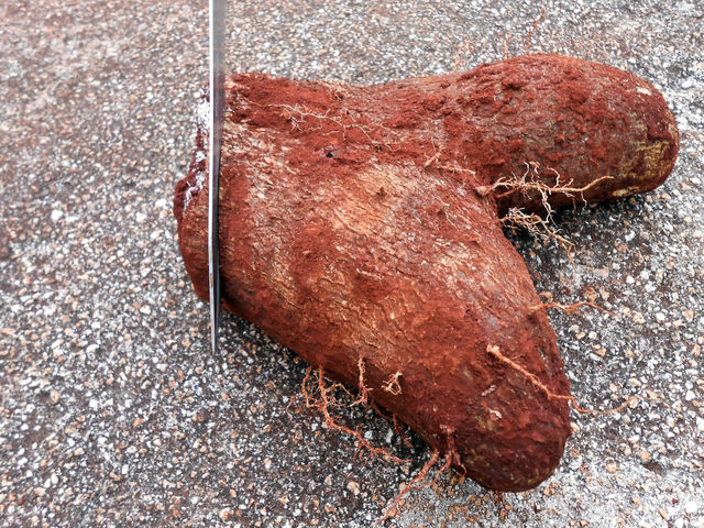 Slicing Yam