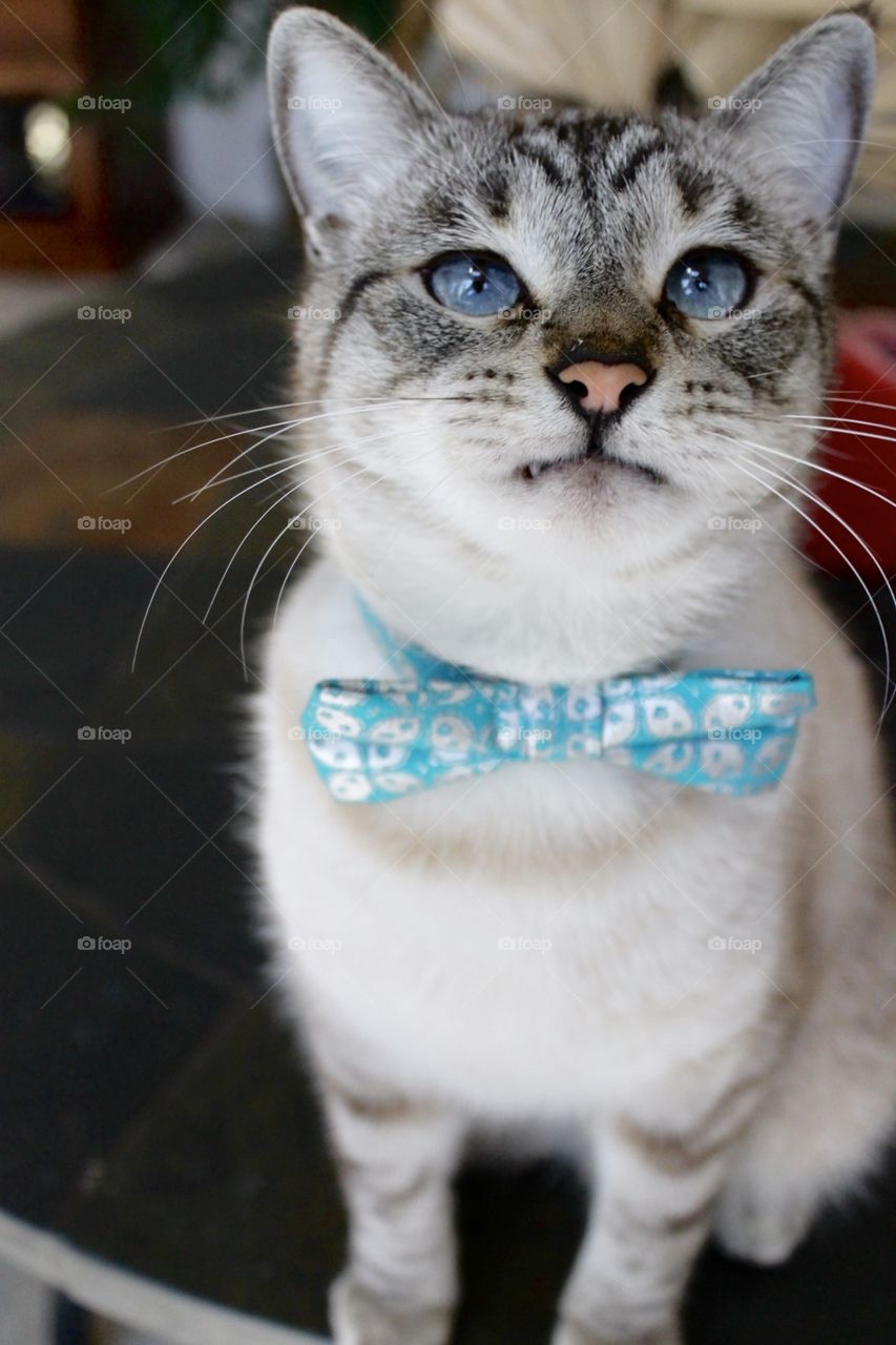 Smile for the camera!