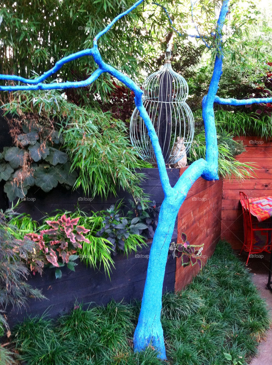 Backyard with blue tree
