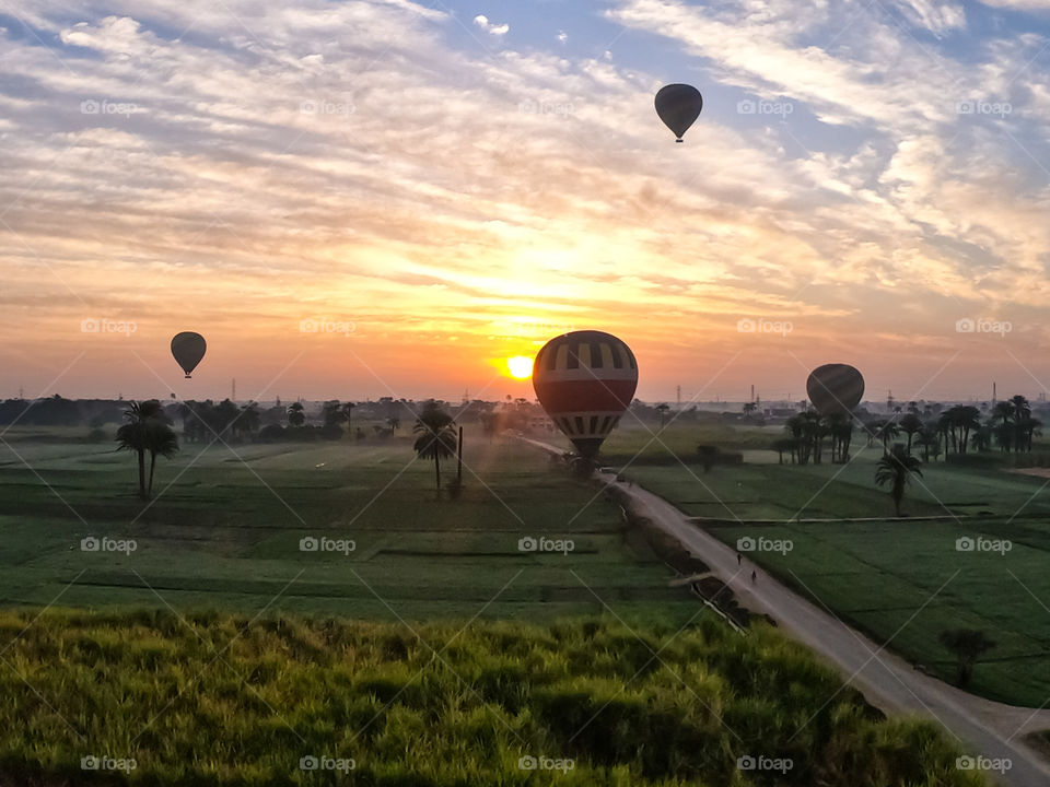 Balloon over vegetables fields on sunrise background in Egypt 