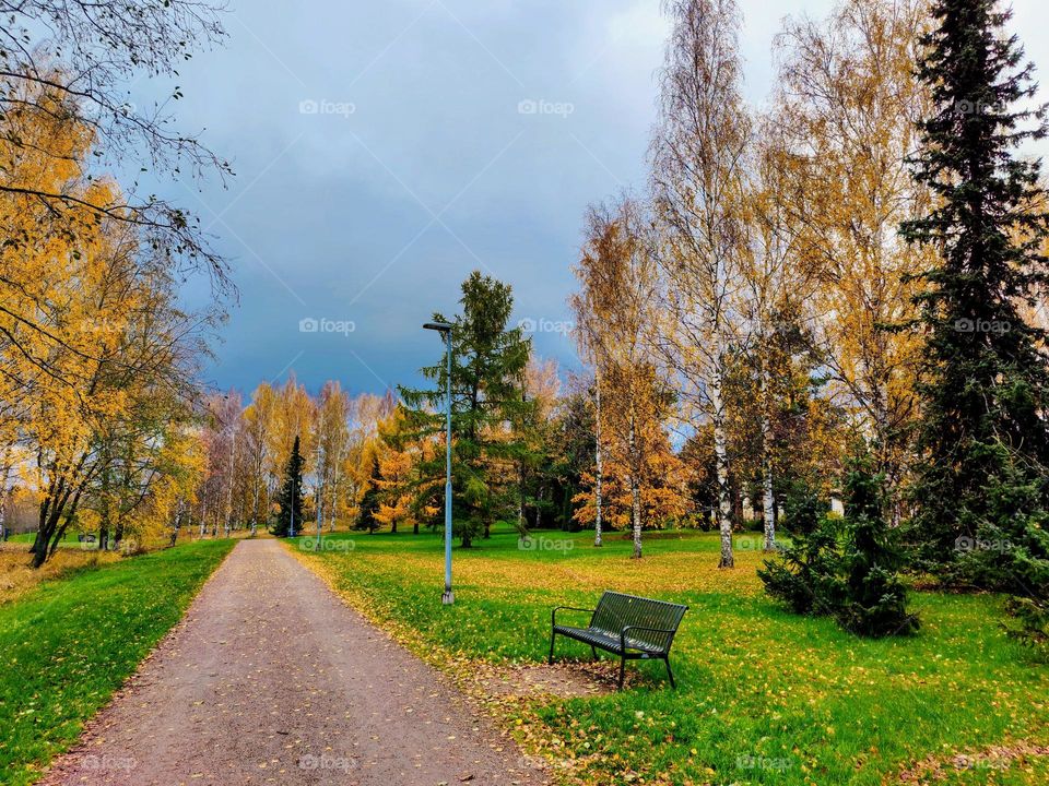 Battle: summer vs autumn: bright colours fall landscape 