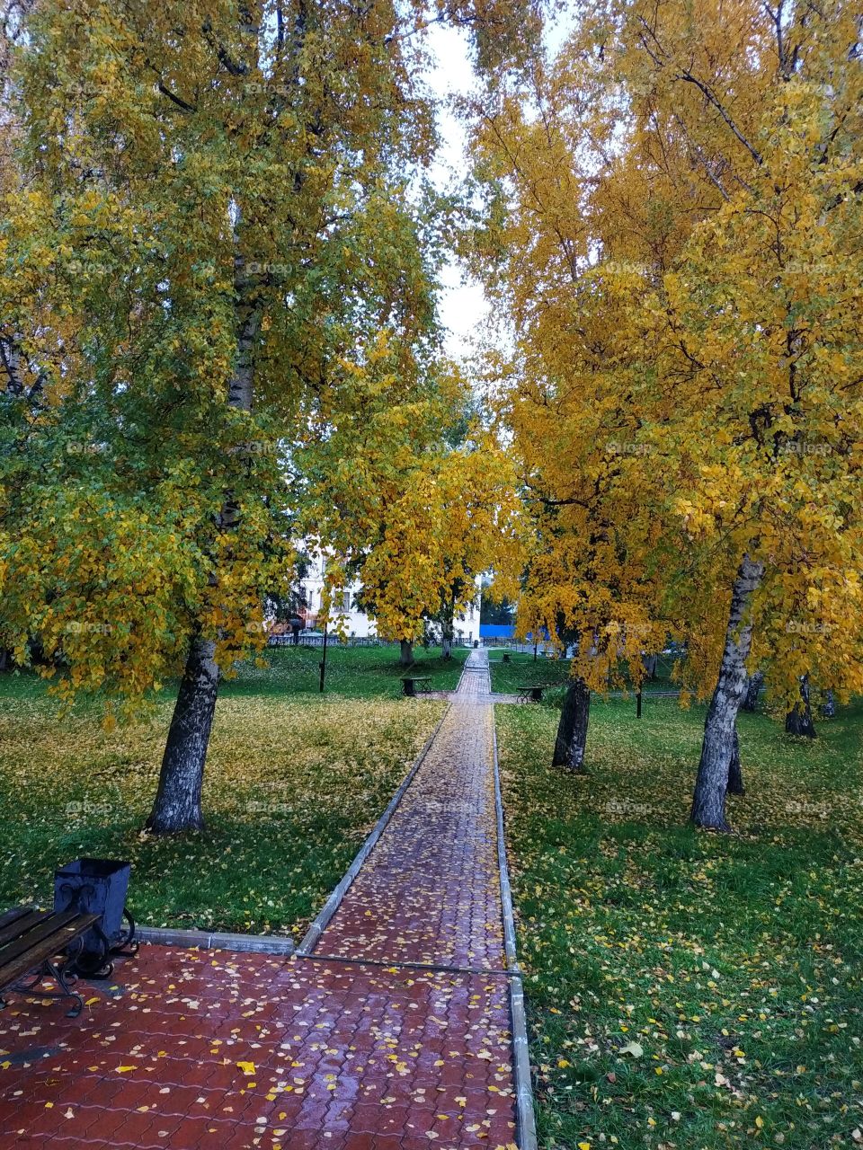Autumn in Siberia. Yeniseisk.Russia. Autumn walk.