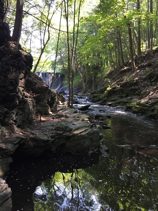 Nature trail