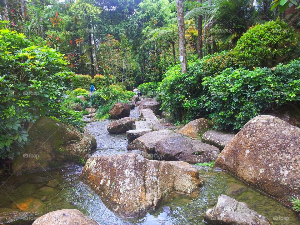 river in forest. this is in japanese village near genting highland in malaysia