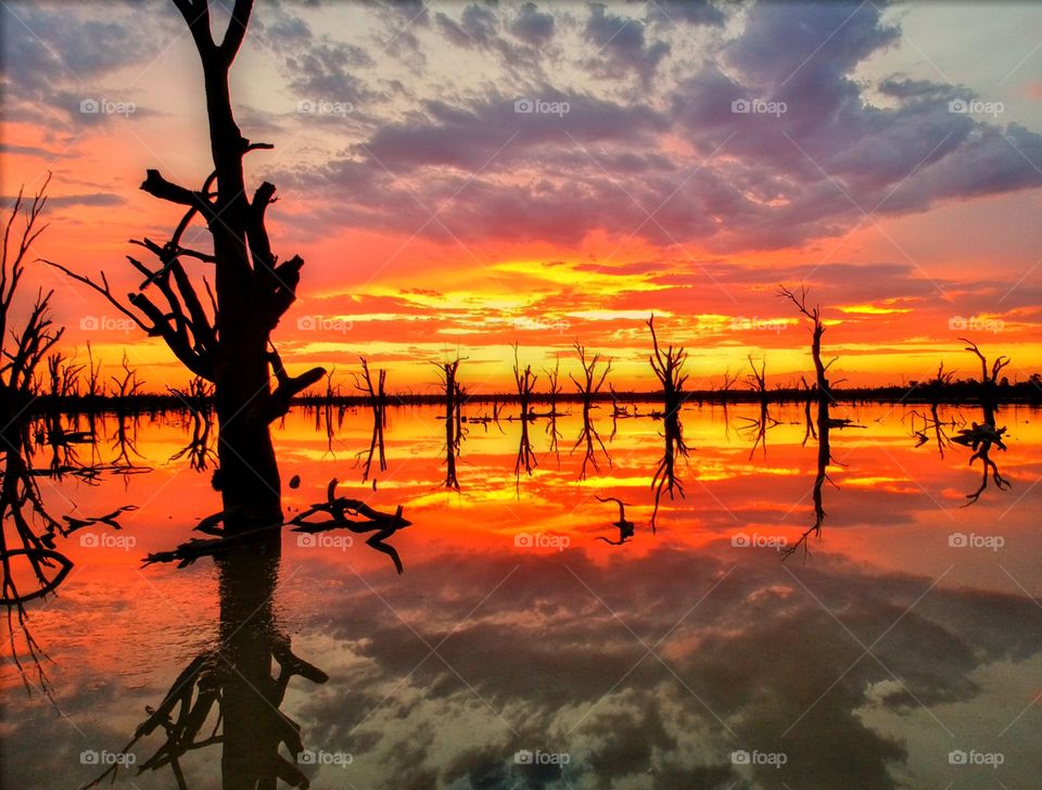 Loveday Swamp Sunset