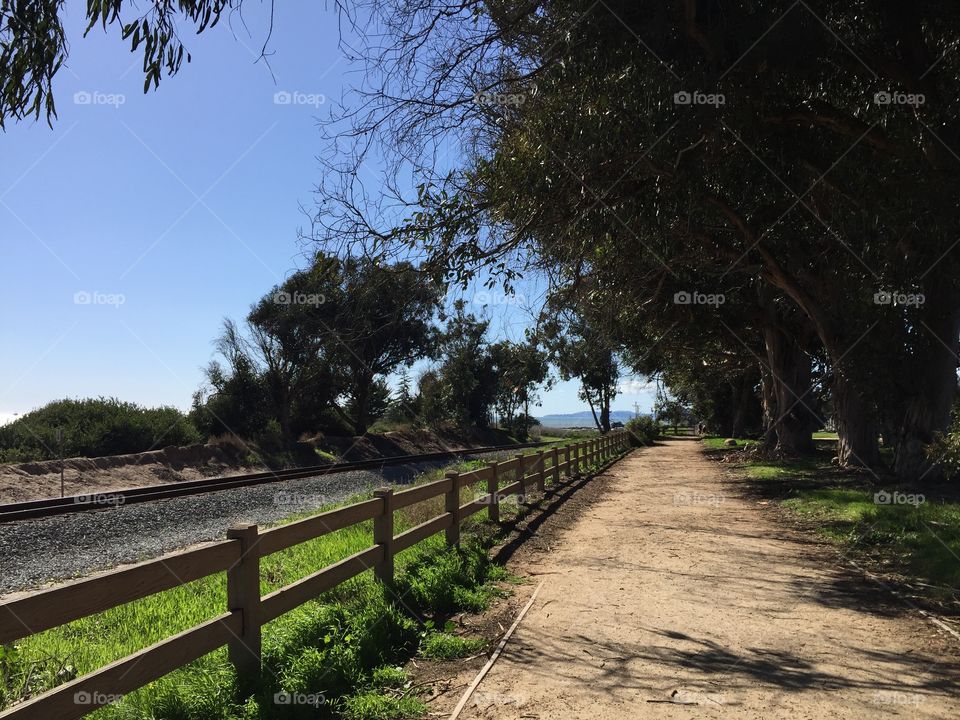 Carpinteria Bluffs Trail 2