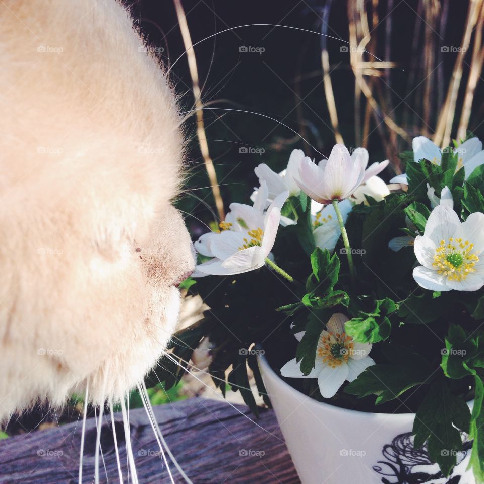 stop and smell the flowers