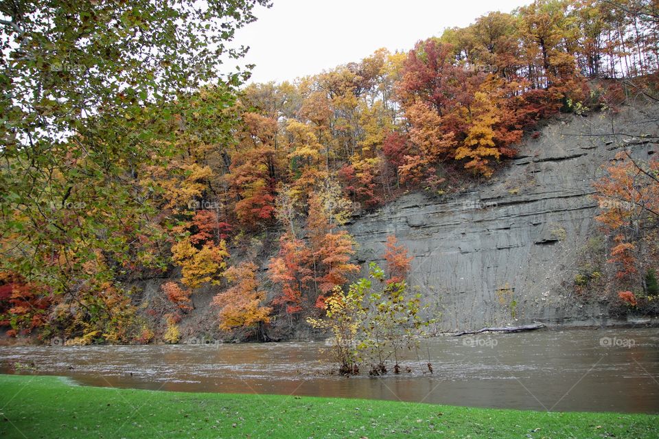 Colorful Trees on cliff in fall