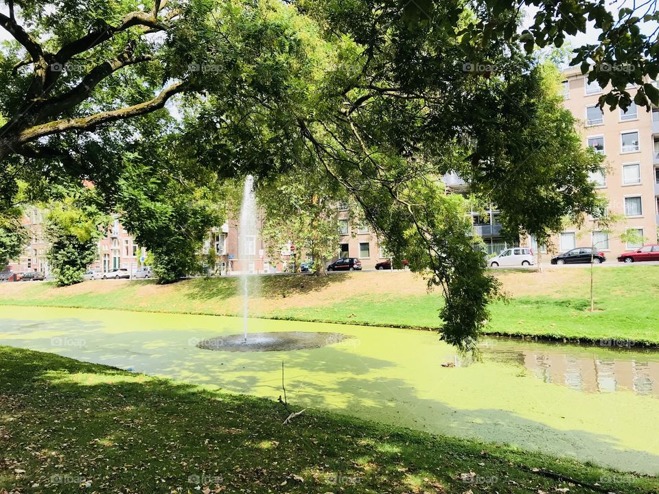 Beautiful park in Rotterdam I take a break here in my last trip.