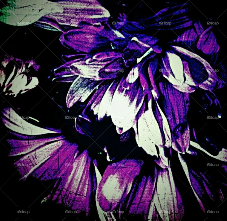 ring my bell. lighting effects