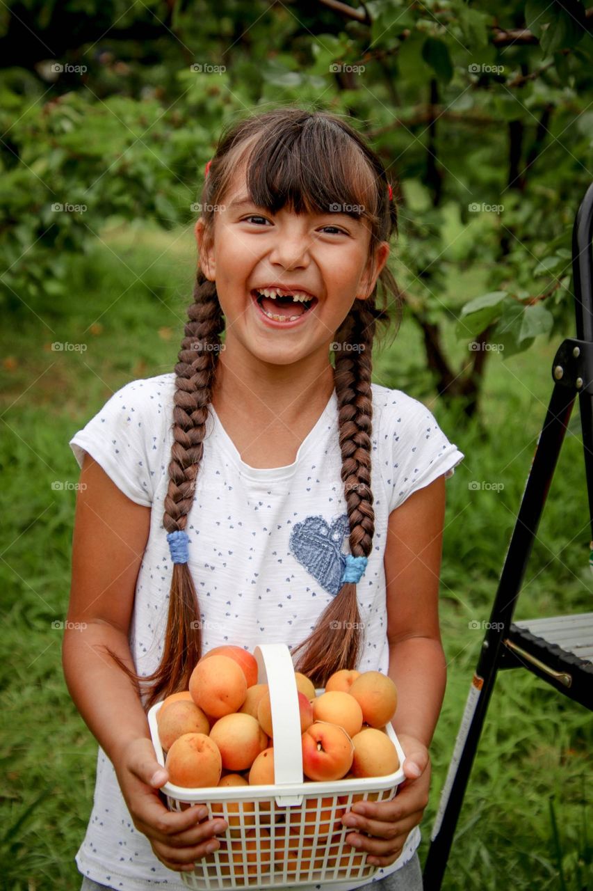 Happy cute girl with apricots on a farm