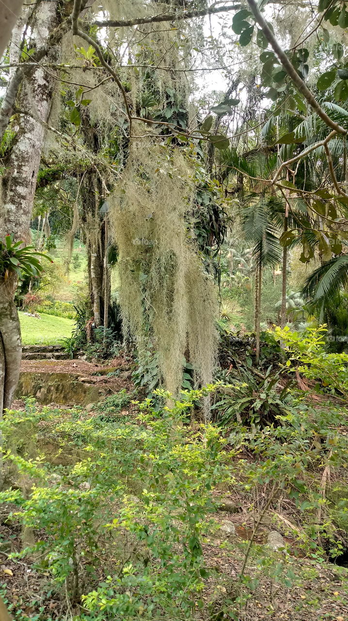 NATURE NATURAL ENVIRONMENT ECOLOGY