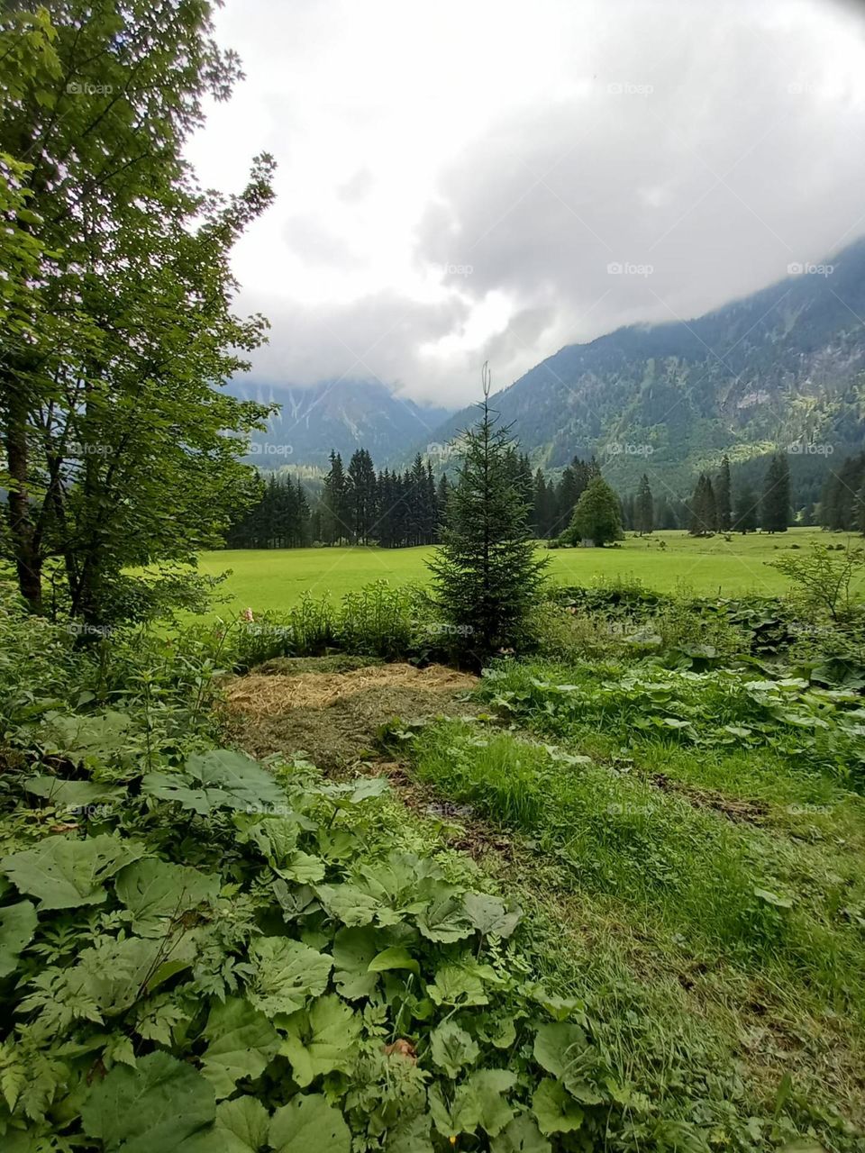Cloudy Day in Bavarian Alps