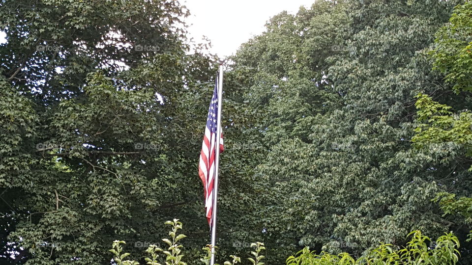 Old glory flying high