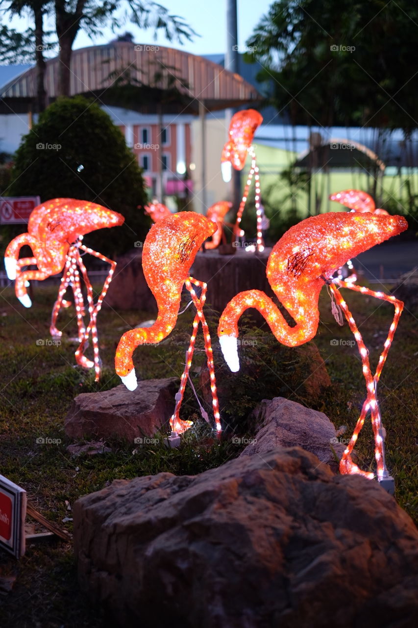 Hay yai municipality . Lighted Swans 