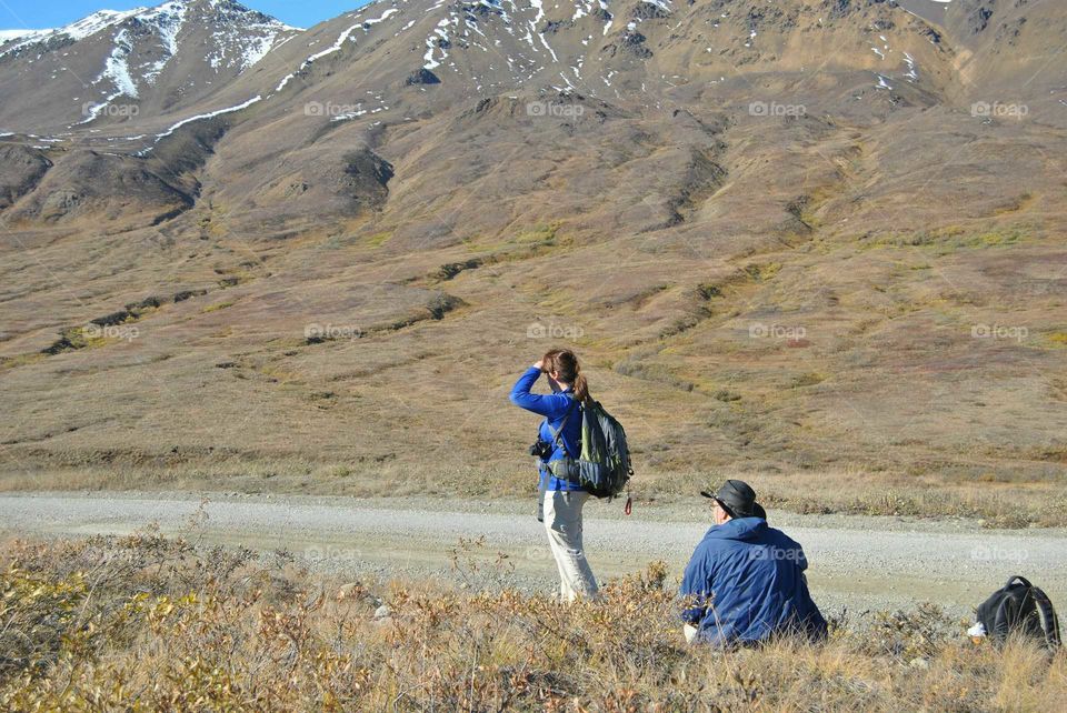 Searching for a ride