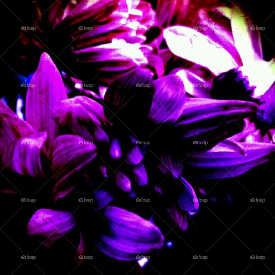 pleaure. lighting effects