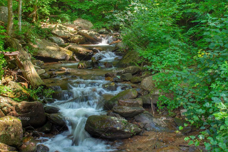 Creek at Amicolola Falls State Park