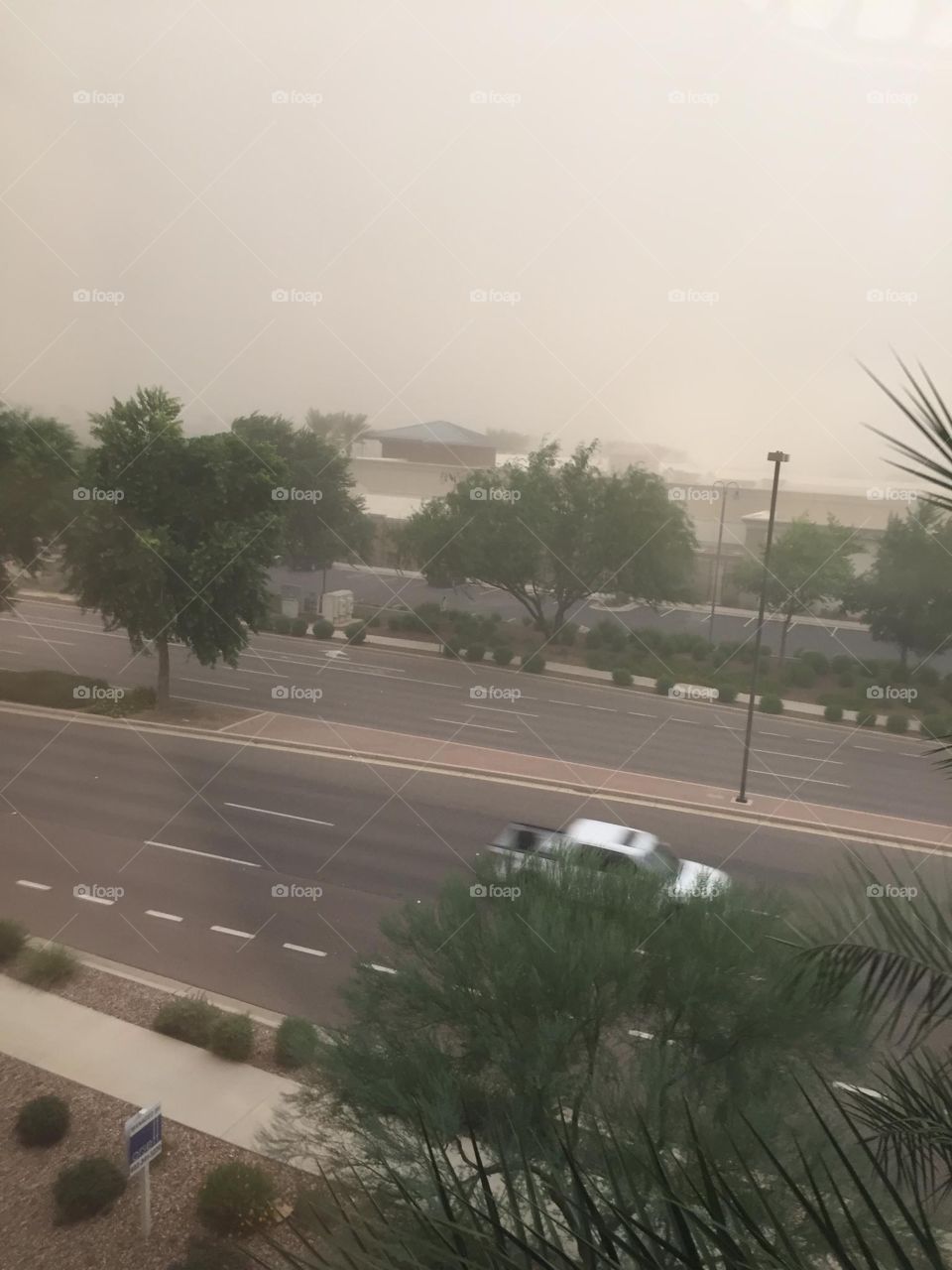 Dust Storm 