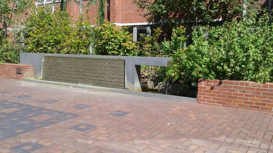 fountain. such a peaceful spot on a busy campus