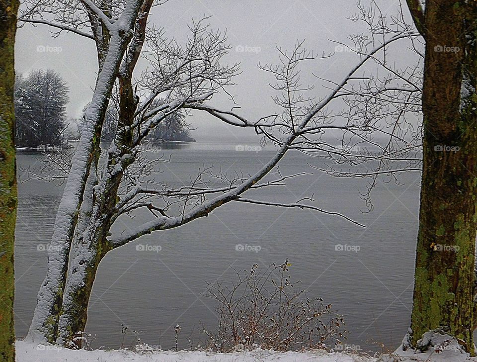 Lake Remains Unfrozen During Snowstorm