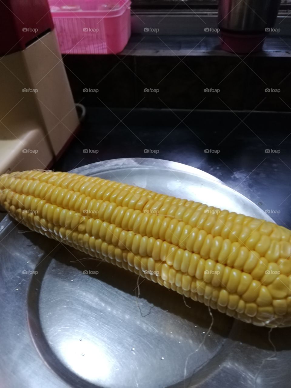 Corn: maize, corn on plate