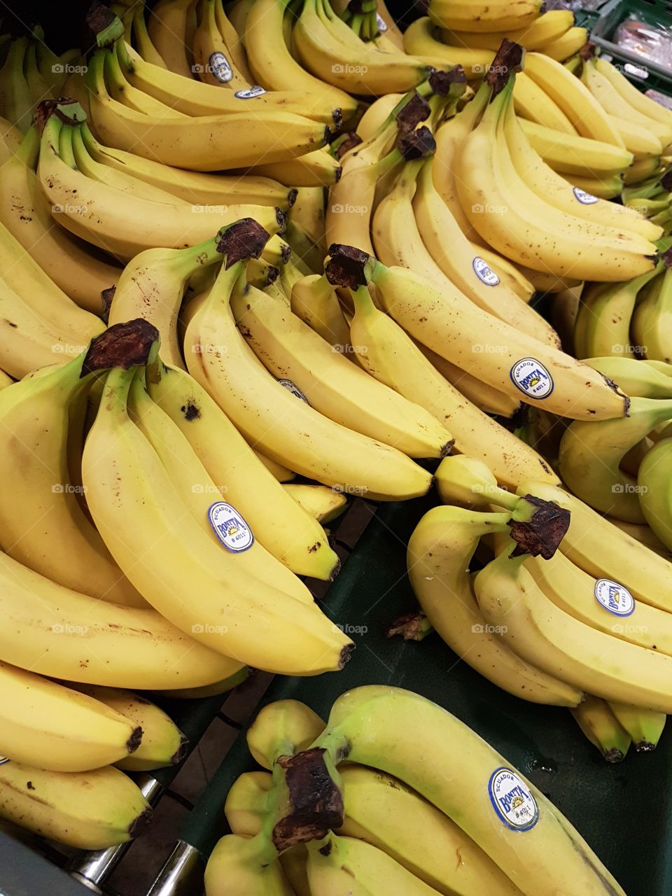 bananas in the supermarket