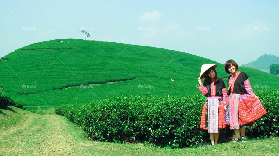 A green tea hill and local girls in Moc Chau Province, Vietnam
