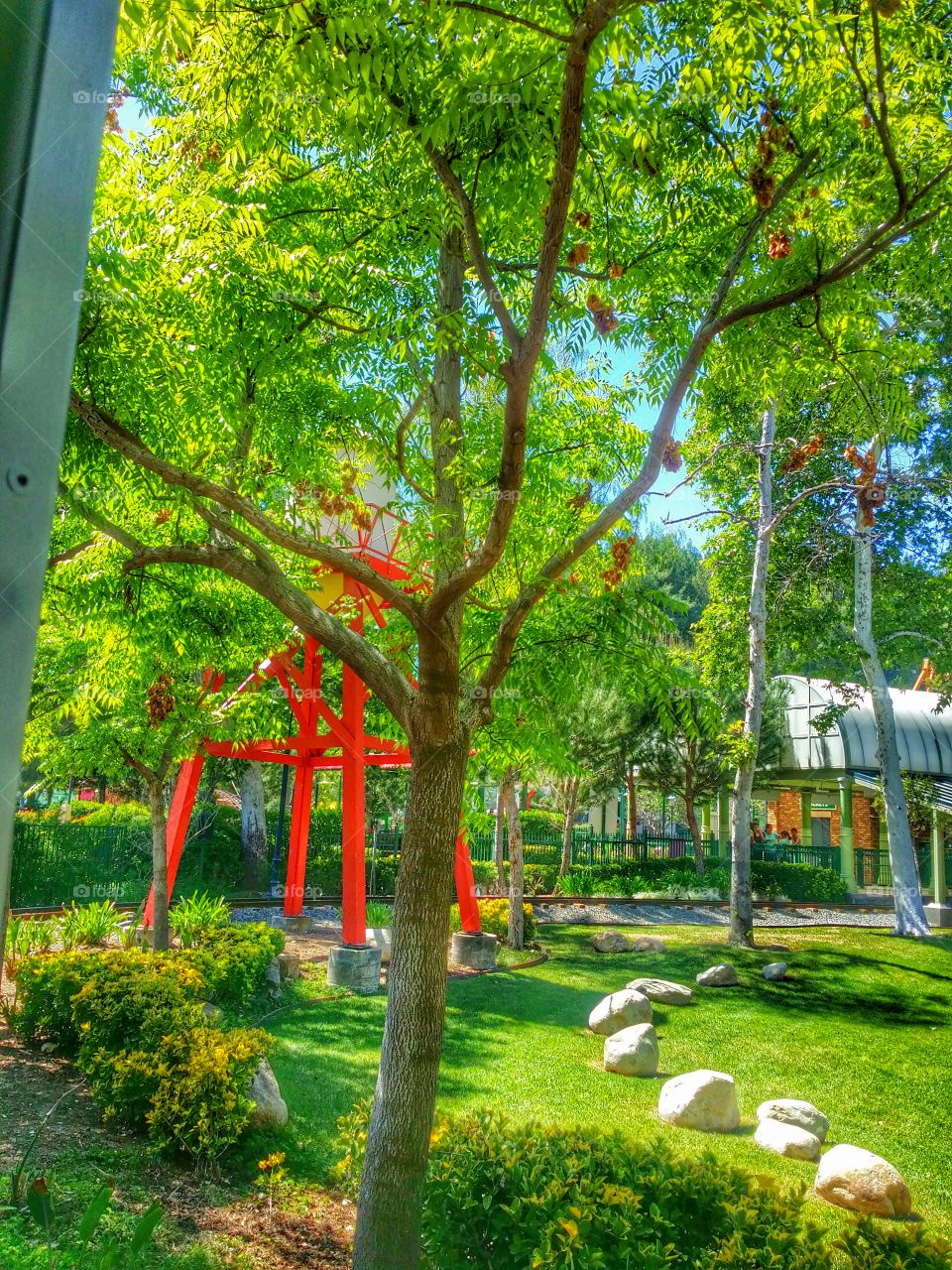 Train Sights. love riding on trains