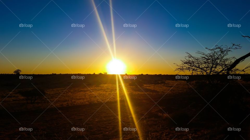 Desert Sunset