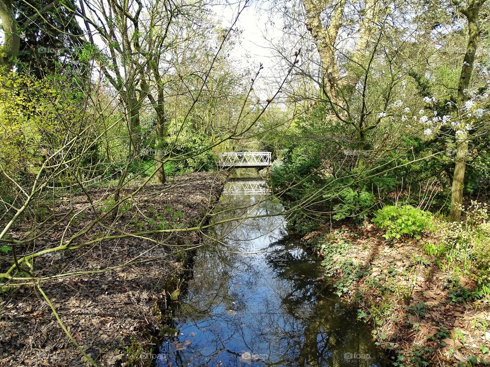 Parc in the springtime