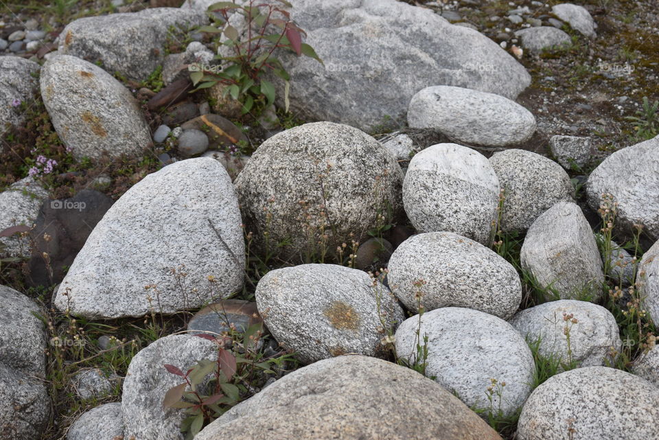 Stones By The River Bed