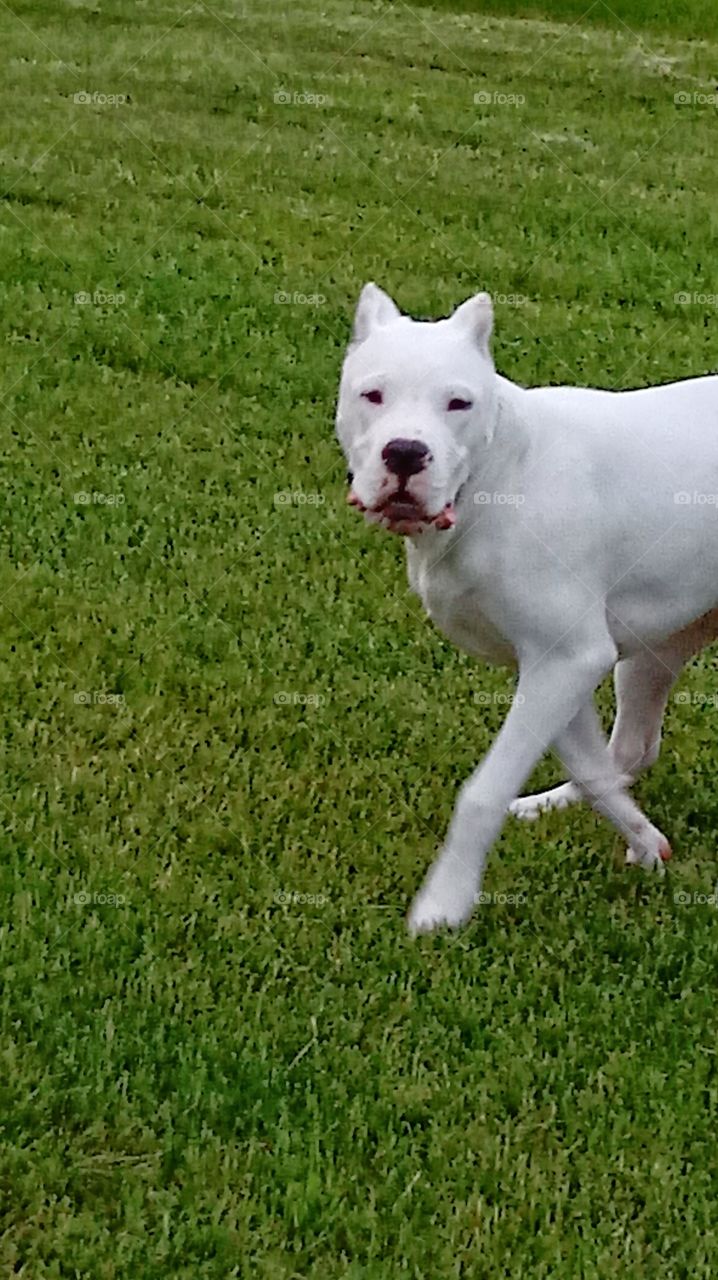 Walking with a Smirk!