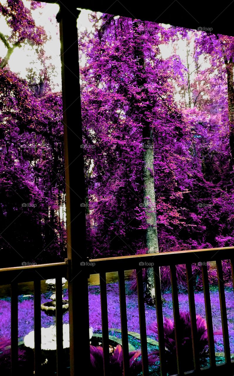 its rainy so I am sitting on the porch messing with color😊