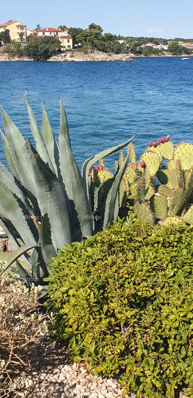 seaside scenery
