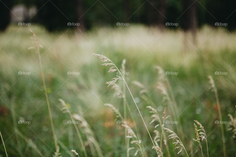 Taking notice of every detail. 