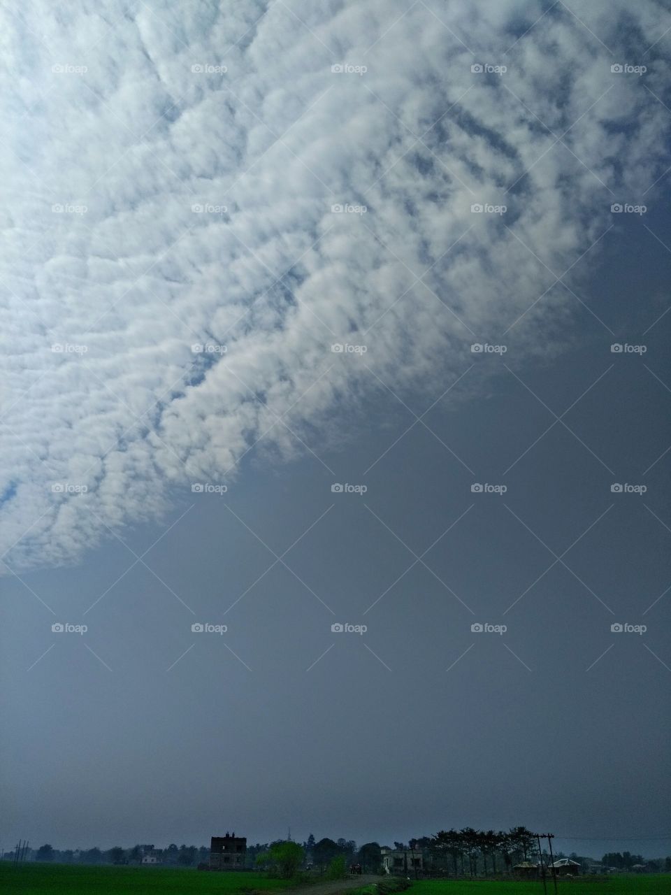 beautiful Skype view evening movement