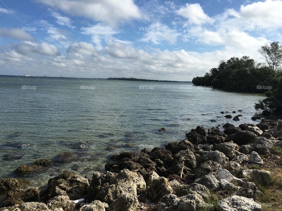 Rocky shore