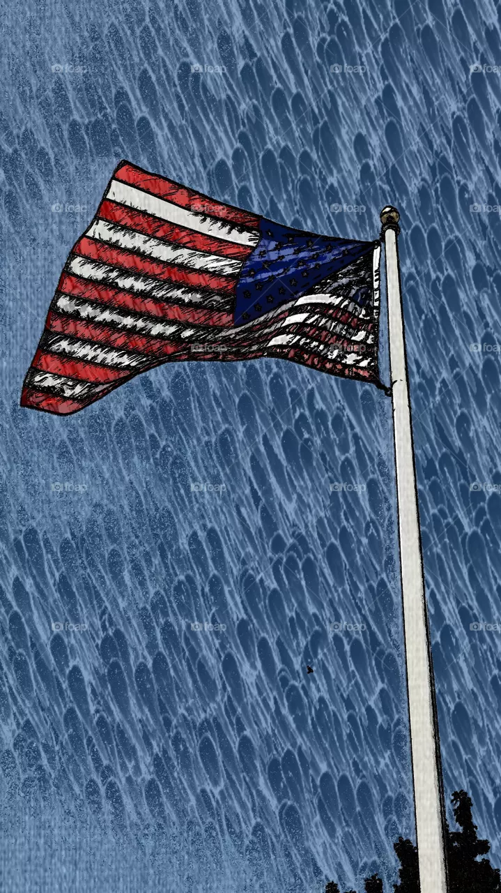 usa flag