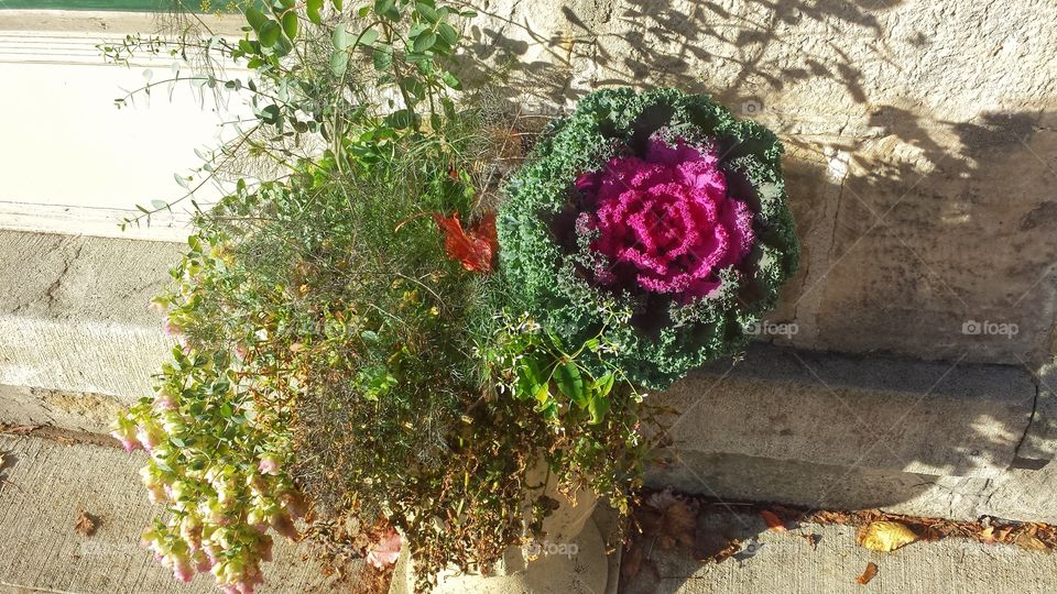 Autumn Flower Pot