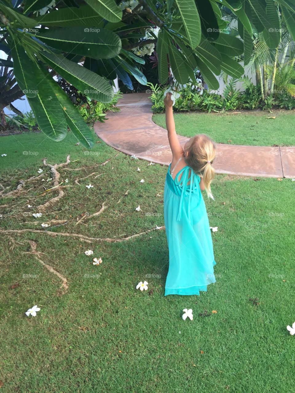 People, Leisure, Grass, Tree, Outdoors