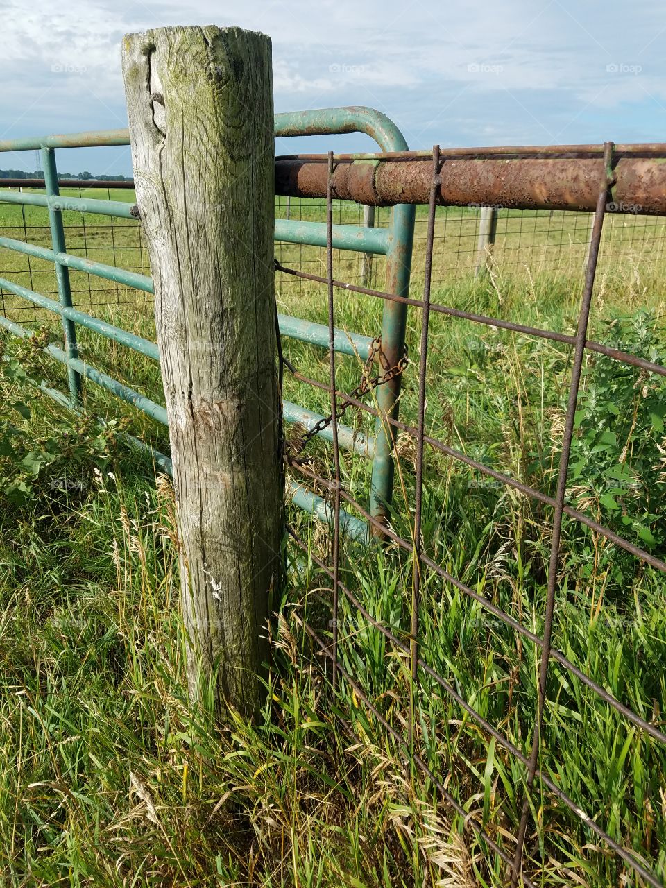 Rusty fence line