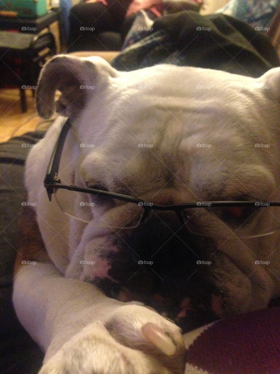 Smarter with Glasses