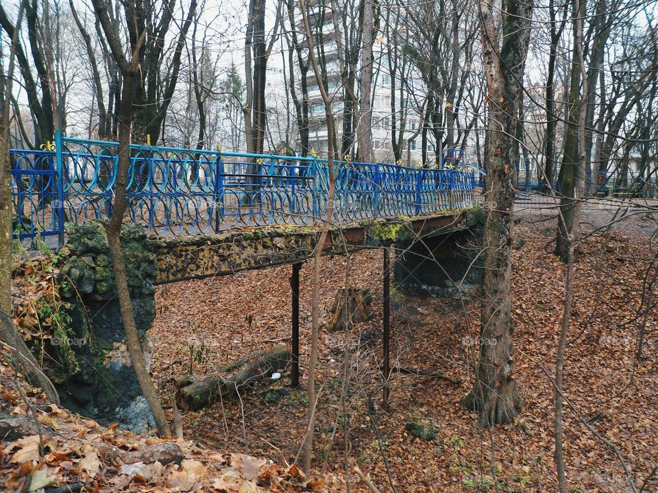 in autumn park in Kiev city, autumn