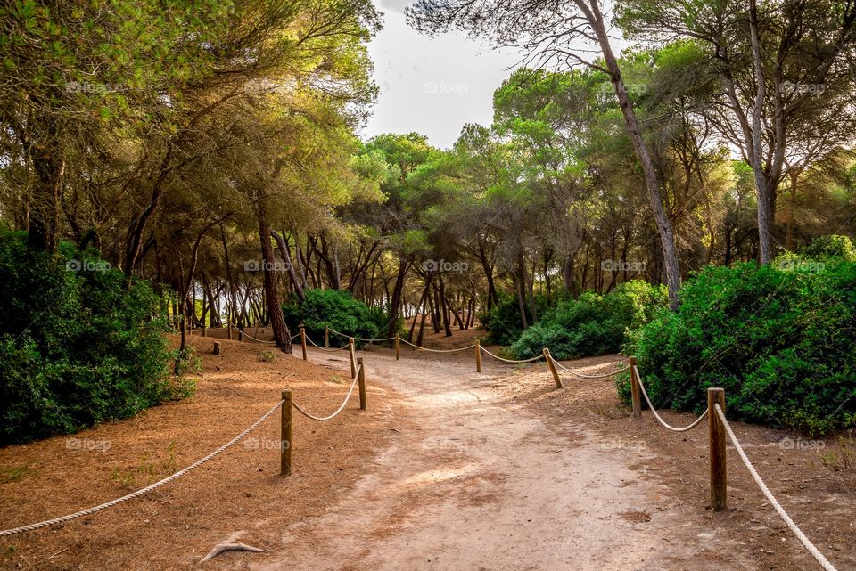 A rope fenced walking path through a small natural reserve in Alcudia, Majorca, Balearic Islands, Spain