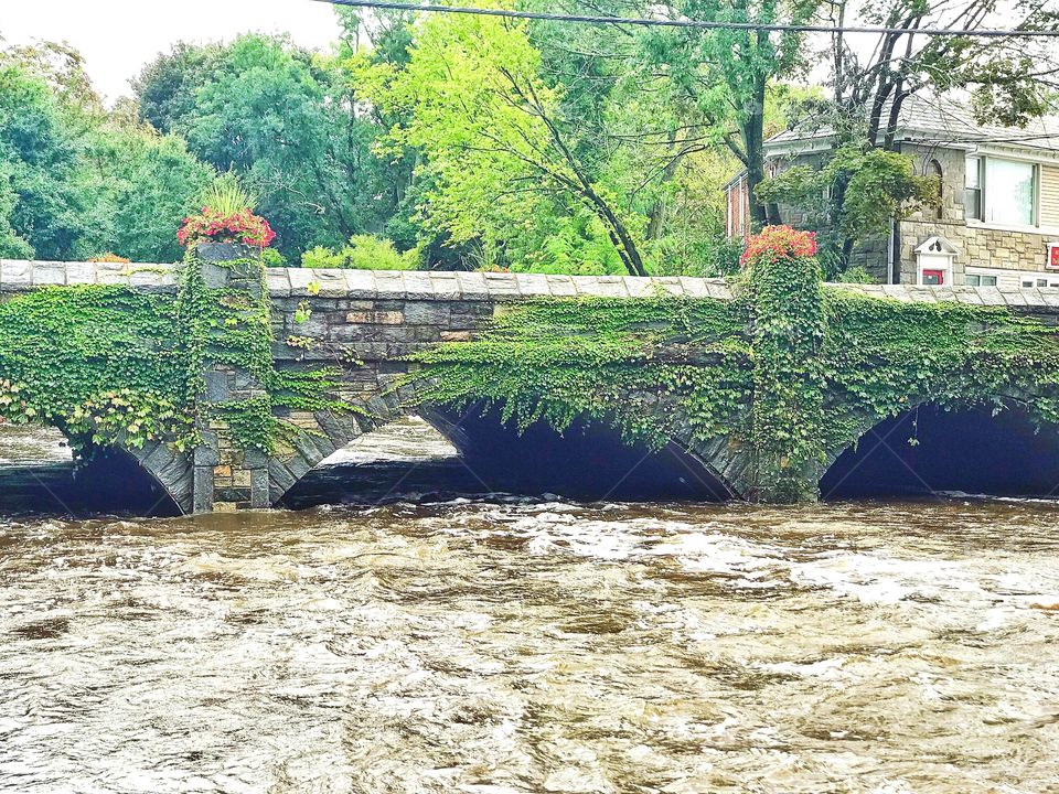 River rising after some crazy rain