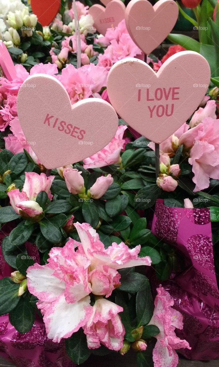 Pink Flowers and Hearts I love You & Kisses