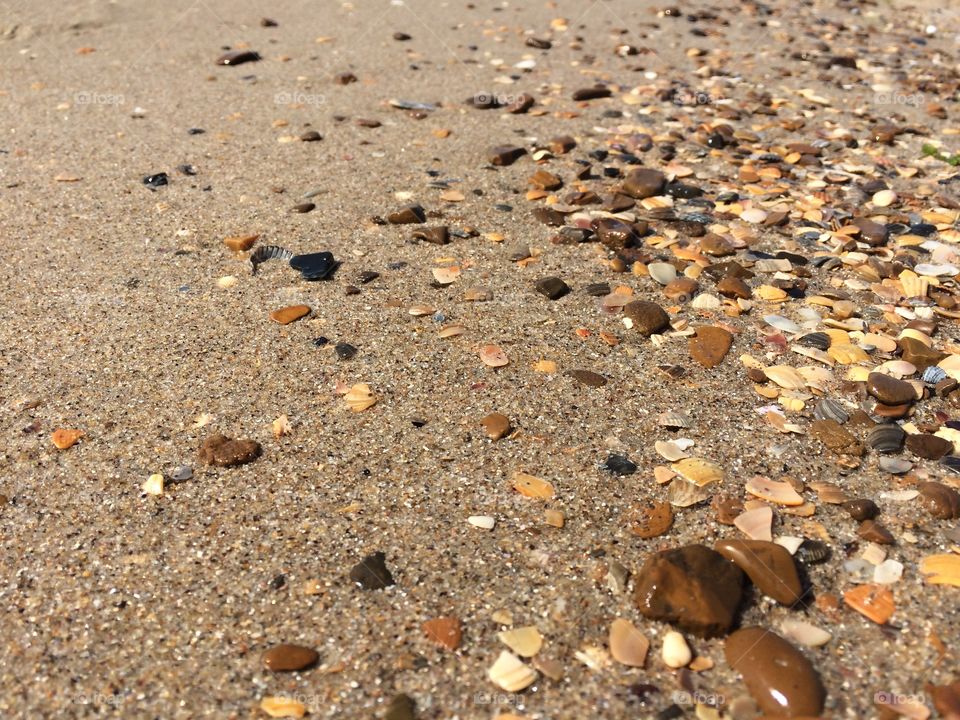 Shells and stones on a beach