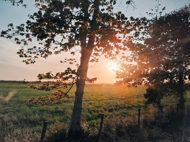 natureza
