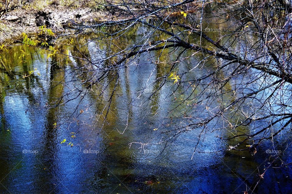 Fall Water Tree Reflection 